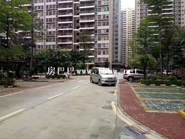 沙井中泰国际 (2).jpg