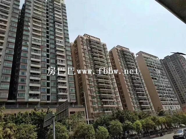 沙井中泰国际 (1).jpg