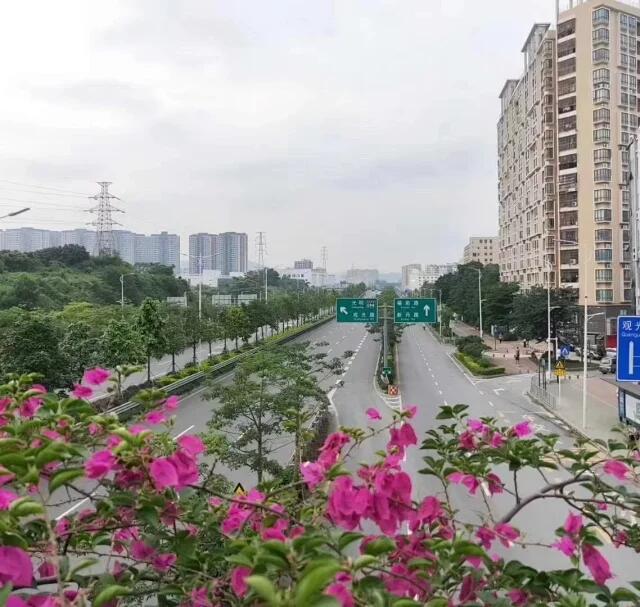 QQ图片20200928181905.jpg