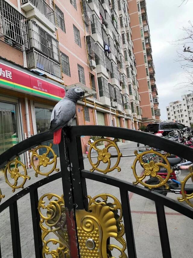 QQ图片20201207183610.jpg