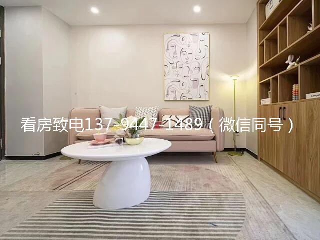 深圳光明南庄小产权房.jpg