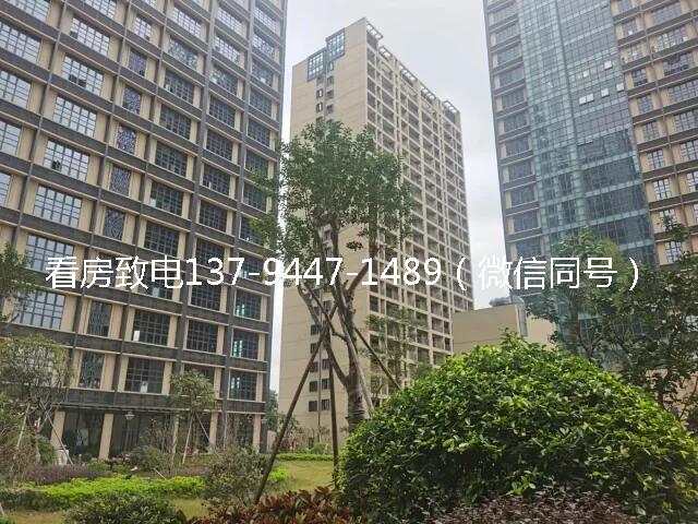 QQ图片20210113222539.jpg