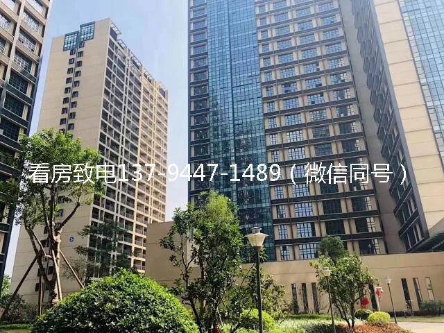 深圳和谷山汇成.jpg