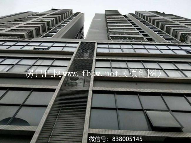 东莞虎门百达国际.jpg