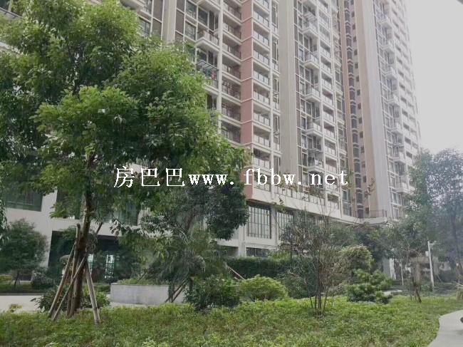沙井中泰国际.jpg