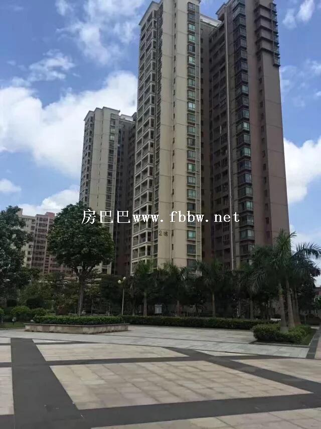 深圳沙井中泰国际.jpg