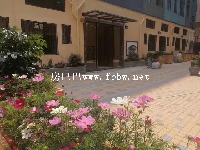 在深圳买小产权房要注意什么.jpg