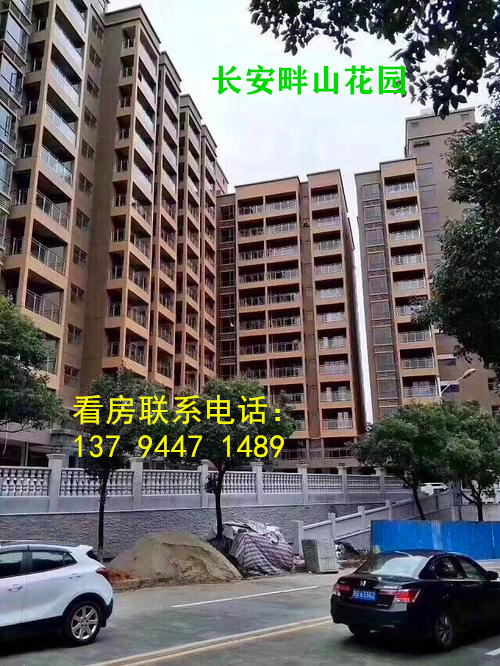 东莞长安畔山花园.jpg