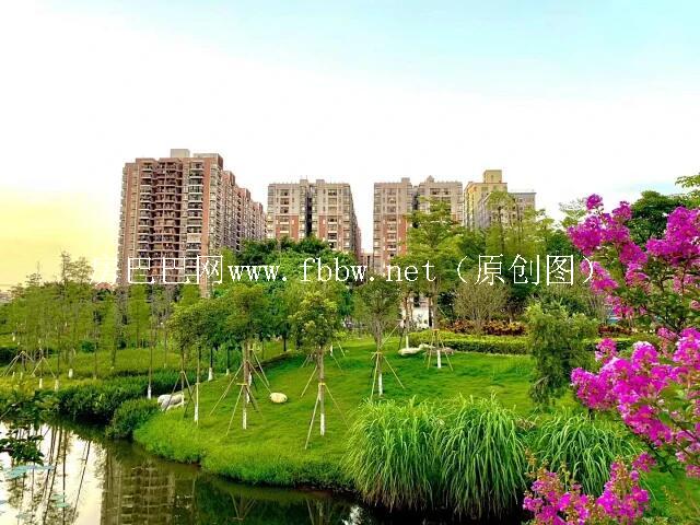 宝安小产权房哪里好？宝安小产权房哪里便宜.jpg