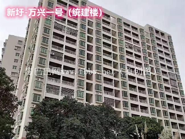 惠阳新圩村委统建楼.jpg