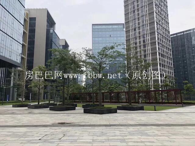 深圳布吉中海信公寓集体产权整栋大红本可以买卖吗.jpg