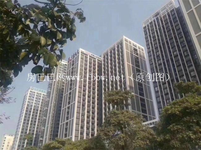 买深圳二手小产权房有什么风险要注意哪些问题.jpg