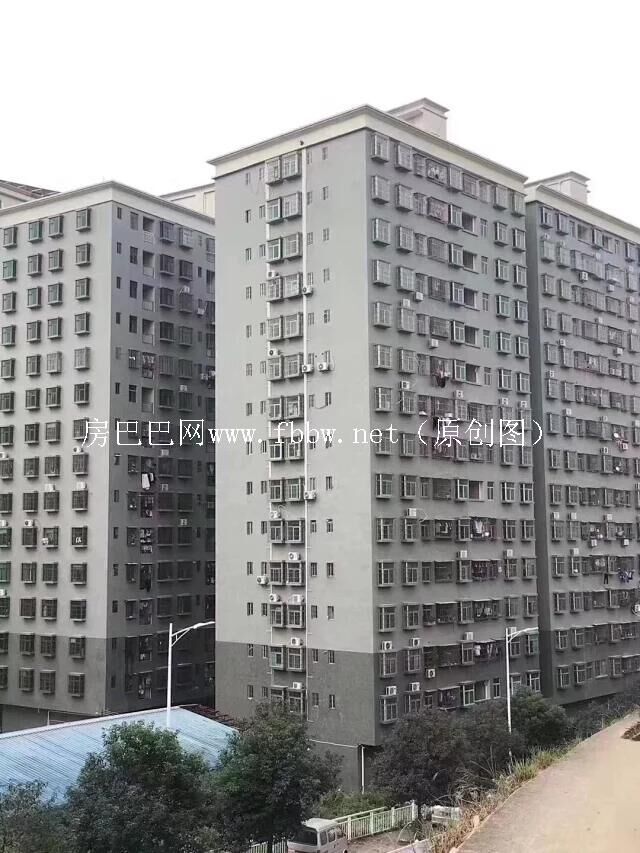 QQ图片20210131204539.jpg