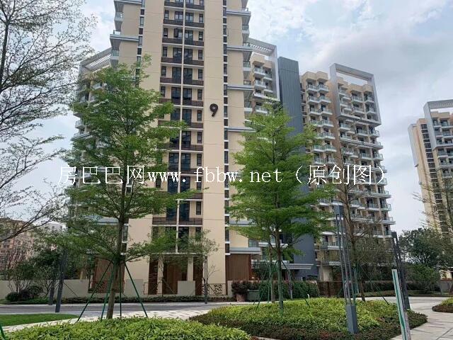 QQ图片20210131205258.jpg