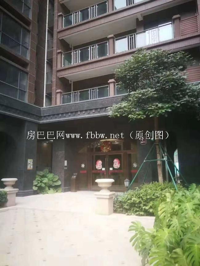 深圳罗湖军产房楼盘有哪些.jpg