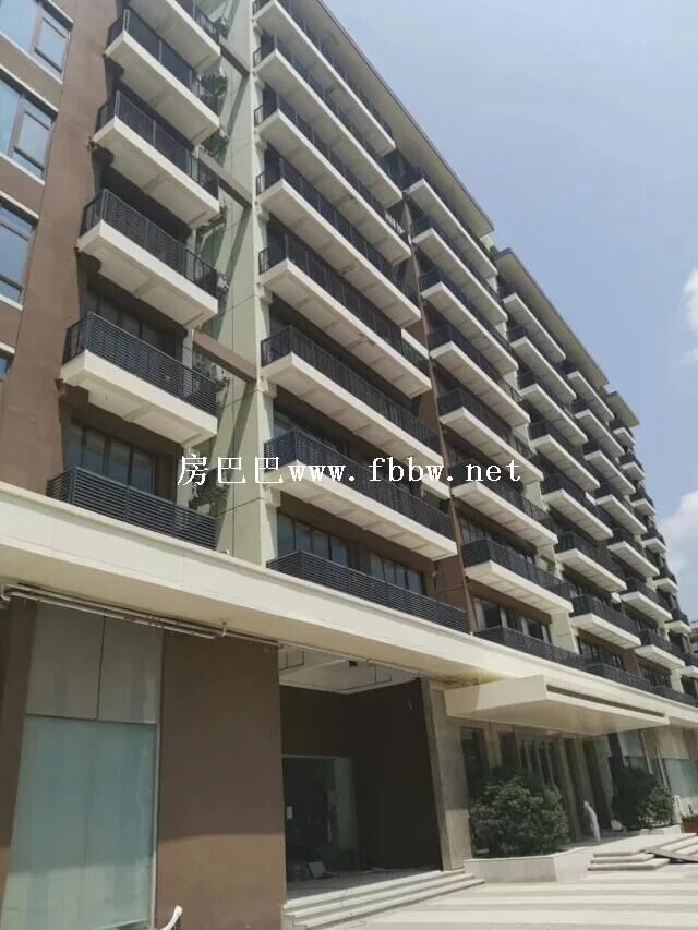 深圳地铁5号线（环中线）宝安兴东地铁站小产权房.jpg