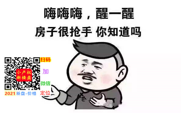2020房巴巴小产权选择.jpg