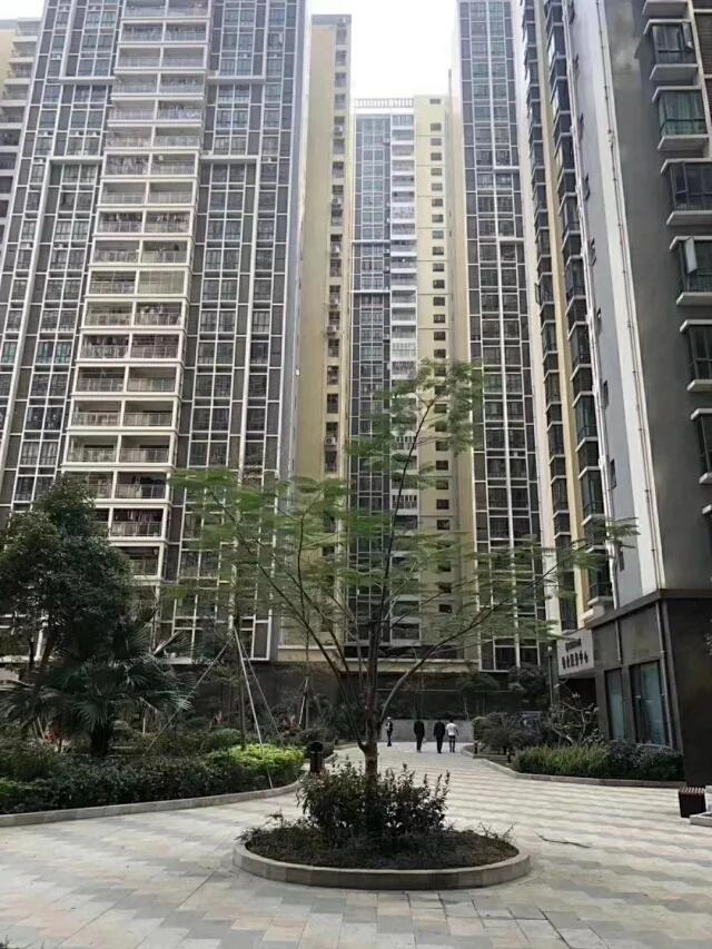 松岗村委统建楼房价.jpg