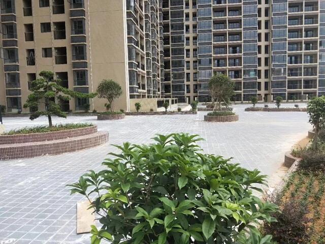 大朗村委统建楼地址.jpg