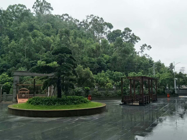 东莞虎门公园山景.jpg