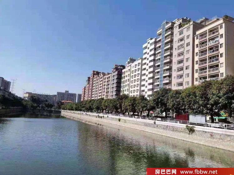 东莞长安厦岗小产权【长安滨海名轩】精装新房，家电俱全，真正拎包入住.jpg