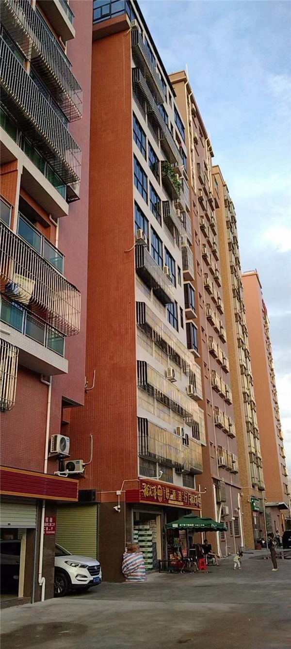 东莞虎门王府一号：R2线地铁口虎门大宁小产权房.jpg