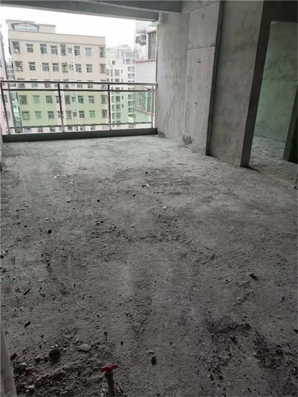 东莞长安新安豪居，两大栋全新楼盘，大马路第一排.jpg