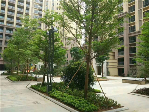 东莞长安统建楼房价_东莞长安镇长安花园怎么样.jpg