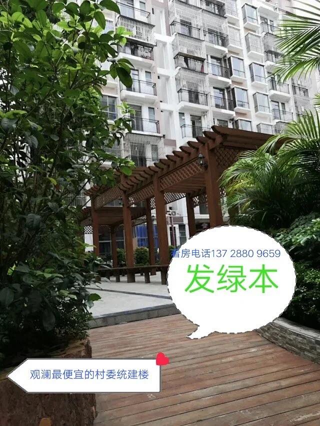 深圳观澜村委统建楼新楼盘.jpg