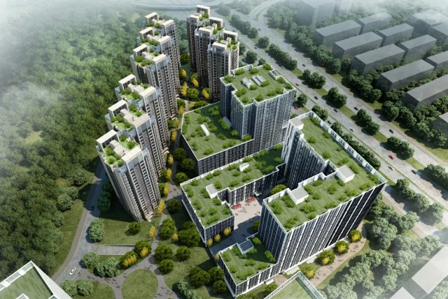 深圳集体大红本.png