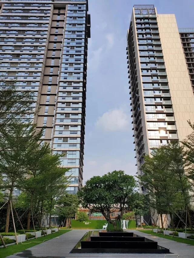 深圳集体大红本房.jpg