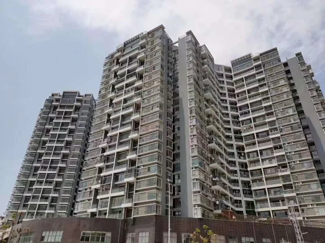深圳沙井村委统建楼房.png