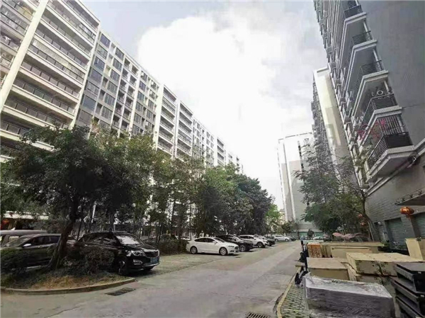 东莞桥头水榭春天.jpg