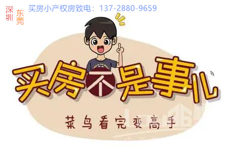 新手买房.jpg