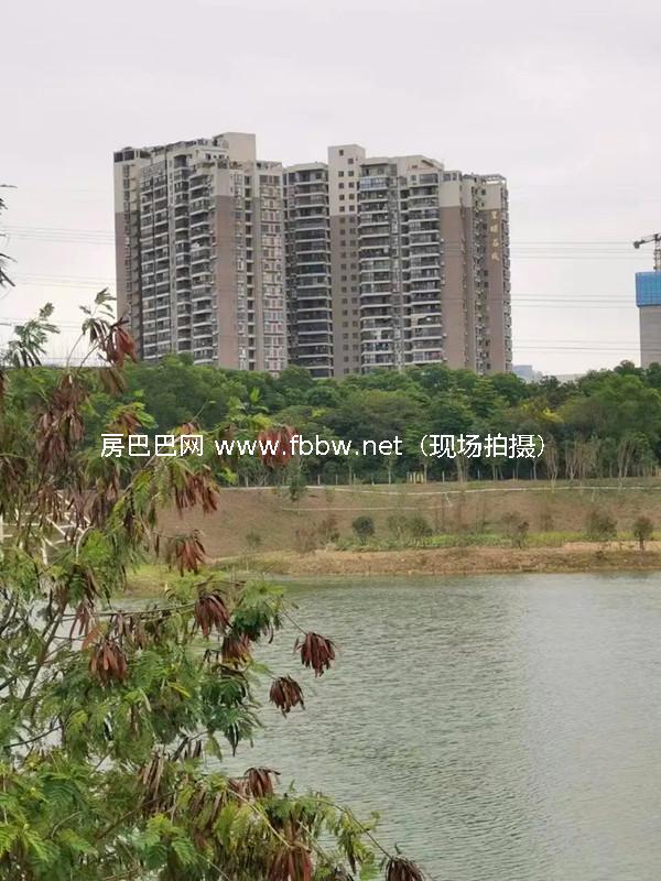星曜名城.jpg