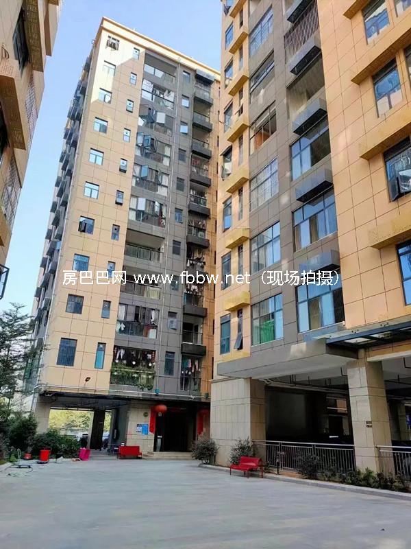 深圳农民房园岭首座.jpg
