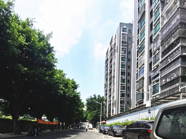 布吉福景苑实景图.jpg