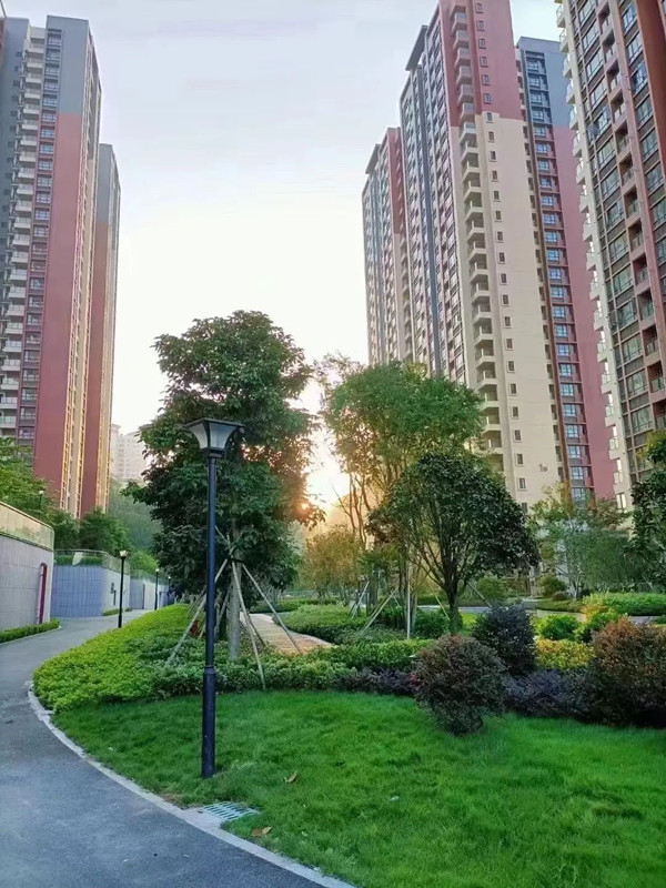 微信图片_20220731121942.jpg