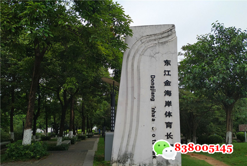 httpswww.szxcqfw8.comaliasdongwanshi.html.png