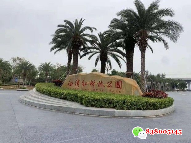 宝安靠海的小产权房红树林海滨公园旁最新三房总价140万.jpg