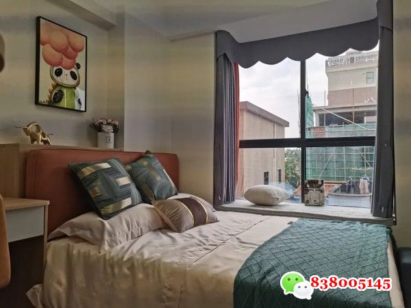 东莞厚街2号线陈屋小产权房（南城都汇）马路第一排，带地下停车场.jpg