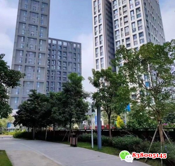 深圳南岭小产权房拆迁补偿安置.jpg