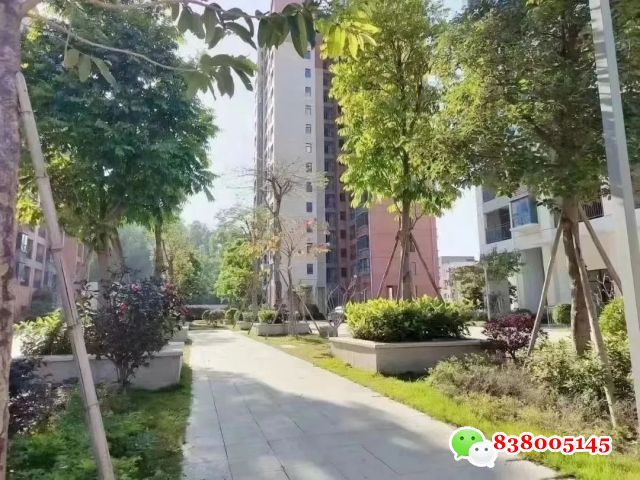 声明！本人属开发商自售 无任何服务费！请放心致电137-2880-9659.jpg