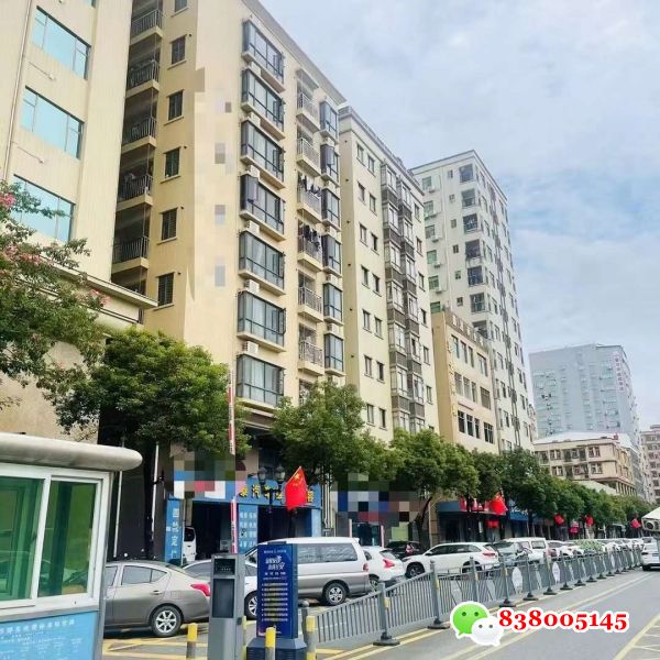 东莞长安涌头社区小产权房价格.jpg