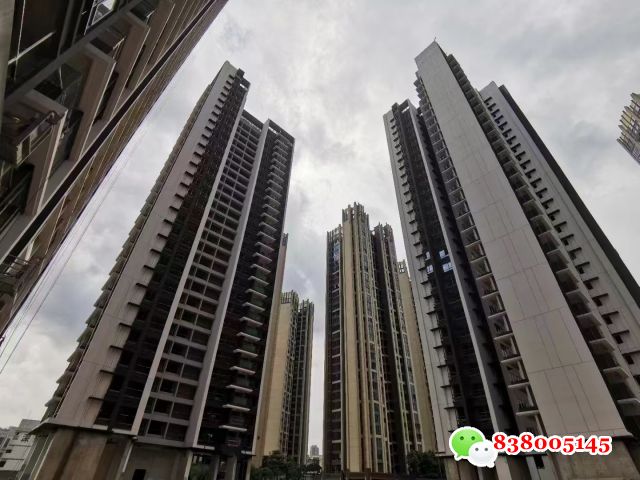 微信图片_20241005094034.jpg