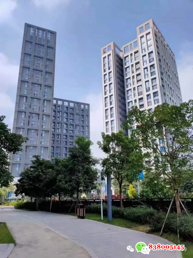 微信图片_20250209153159.png