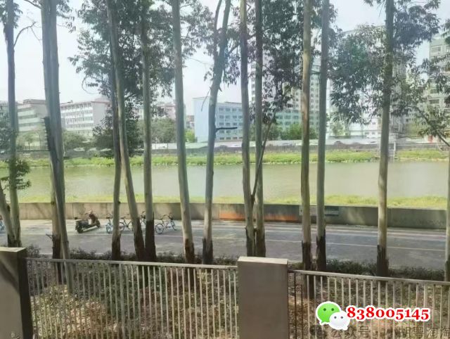 微信图片_20250430234127.jpg