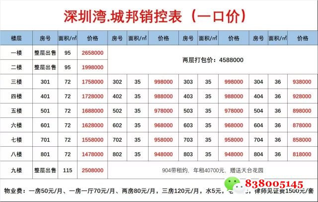 深圳白石洲小产权房.jpg